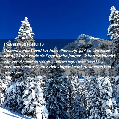 Picture 02 - 1 Samuël 30:13 NLD - Daarna zeide David tot hem: Wiens zijt gij? En - Bible Verse Picture