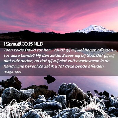 Picture 02 - 1 Samuël 30:15 NLD - Toen zeide David tot hem: Zoudt gij mij wel henen - Bible Verse Picture