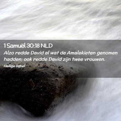 Picture 02 - 1 Samuël 30:18 NLD - Alzo redde David al wat de Amalekieten genomen - Bible Verse Picture