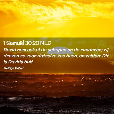 Picture 02 - 1 Samuël 30:20 NLD - David nam ook al de schapen en de runderen; zij - Bible Verse Picture