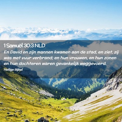 Picture 02 - 1 Samuël 30:3 NLD - En David en zijn mannen kwamen aan de stad, en - Bible Verse Picture