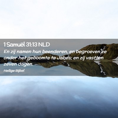 Picture 02 - 1 Samuël 31:13 NLD - En zij namen hun beenderen, en begroeven ze onder - Bible Verse Picture