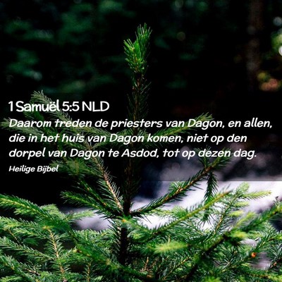 Picture 02 - 1 Samuël 5:5 NLD - Daarom treden de priesters van Dagon, en allen, - Bible Verse Picture