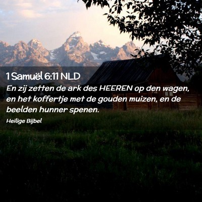 Picture 02 - 1 Samuël 6:11 NLD - En zij zetten de ark des HEEREN op den wagen, en - Bible Verse Picture