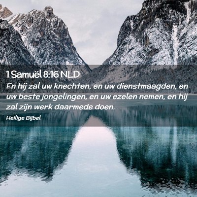 Picture 02 - 1 Samuël 8:16 NLD - En hij zal uw knechten, en uw dienstmaagden, en - Bible Verse Picture