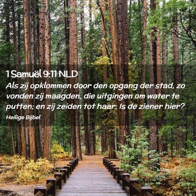 Picture 02 - 1 Samuël 9:11 NLD - Als zij opklommen door den opgang der stad, zo - Bible Verse Picture