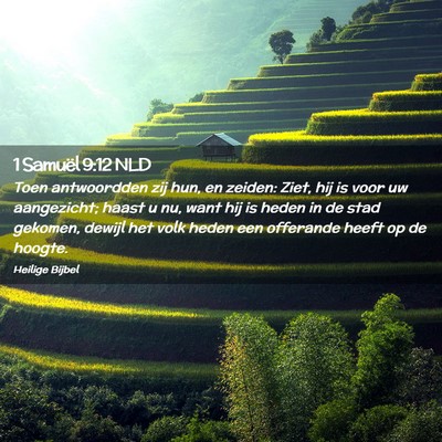 Picture 02 - 1 Samuël 9:12 NLD - Toen antwoordden zij hun, en zeiden: Ziet, hij is - Bible Verse Picture