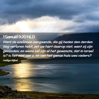 Picture 02 - 1 Samuël 9:20 NLD - Want de ezelinnen aangaande, die gij heden den - Bible Verse Picture