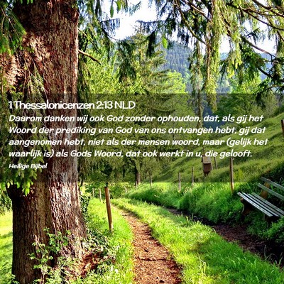 Picture 02 - 1 Thessalonicenzen 2:13 NLD - Daarom danken wij ook God zonder ophouden, dat, - Bible Verse Picture