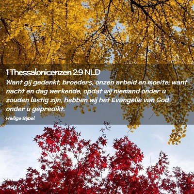Picture 02 - 1 Thessalonicenzen 2:9 NLD - Want gij gedenkt, broeders, onzen arbeid en - Bible Verse Picture