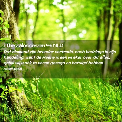 Picture 02 - 1 Thessalonicenzen 4:6 NLD - Dat niemand zijn broeder vertrede, noch bedriege - Bible Verse Picture
