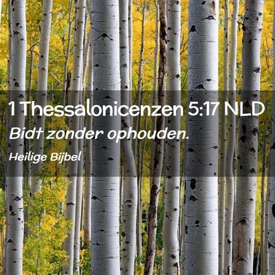 Picture 02 - 1 Thessalonicenzen 5:17 NLD - Bidt zonder - Bible Verse Picture