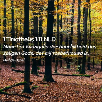 Picture 02 - 1 Timotheüs 1:11 NLD - Naar het Evangelie der heerlijkheid des zaligen - Bible Verse Picture