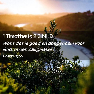Picture 02 - 1 Timotheüs 2:3 NLD - Want dat is goed en aangenaam voor God, onzen - Bible Verse Picture