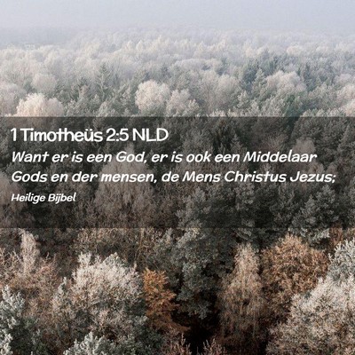 Picture 02 - 1 Timotheüs 2:5 NLD - Want er is een God, er is ook een Middelaar Gods - Bible Verse Picture