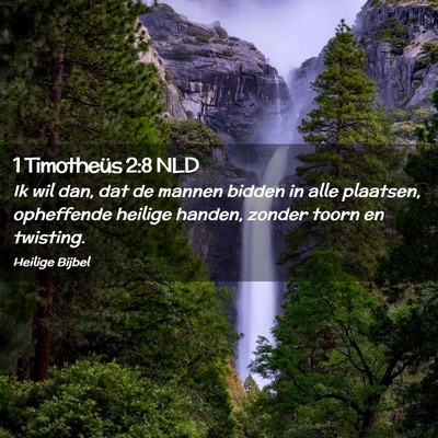 Picture 02 - 1 Timotheüs 2:8 NLD - Ik wil dan, dat de mannen bidden in alle - Bible Verse Picture