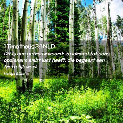 Picture 02 - 1 Timotheüs 3:1 NLD - Dit is een getrouw woord: zo iemand tot eens - Bible Verse Picture