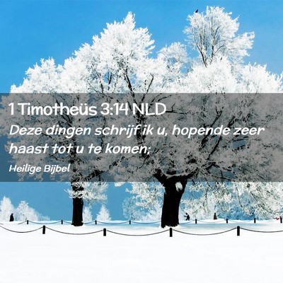 Picture 02 - 1 Timotheüs 3:14 NLD - Deze dingen schrijf ik u, hopende zeer haast tot - Bible Verse Picture