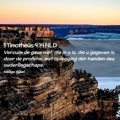 Picture 02 - 1 Timotheüs 4:14 NLD - Verzuim de gave niet, die in u is, die u gegeven - Bible Verse Picture