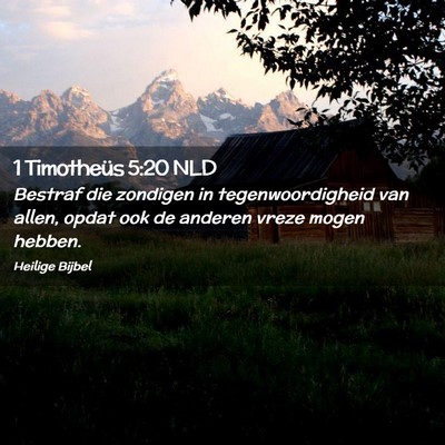 Picture 02 - 1 Timotheüs 5:20 NLD - Bestraf die zondigen in tegenwoordigheid van - Bible Verse Picture