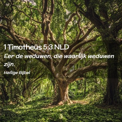 Picture 02 - 1 Timotheüs 5:3 NLD - Eer de weduwen, die waarlijk weduwen - Bible Verse Picture