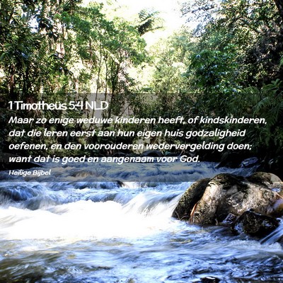Picture 02 - 1 Timotheüs 5:4 NLD - Maar zo enige weduwe kinderen heeft, of - Bible Verse Picture