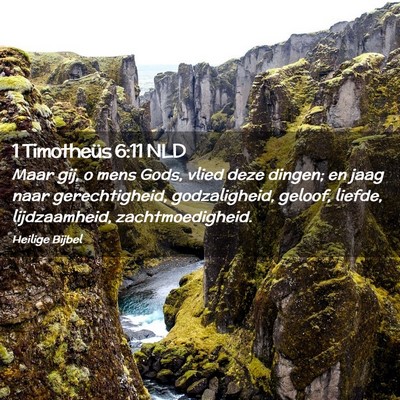 Picture 02 - 1 Timotheüs 6:11 NLD - Maar gij, o mens Gods, vlied deze dingen; en jaag - Bible Verse Picture