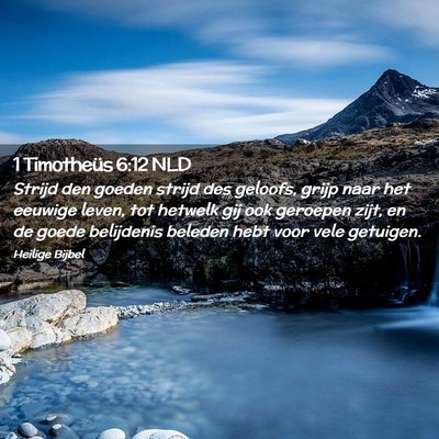 Picture 02 - 1 Timotheüs 6:12 NLD - Strijd den goeden strijd des geloofs, grijp naar - Bible Verse Picture