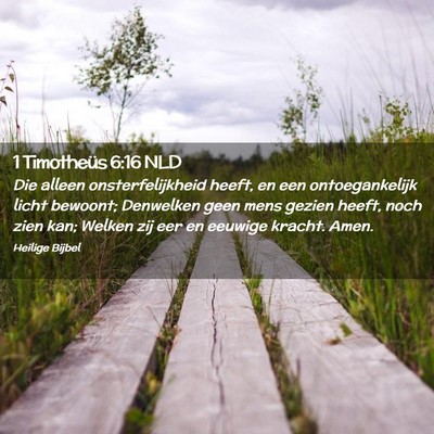 Picture 02 - 1 Timotheüs 6:16 NLD - Die alleen onsterfelijkheid heeft, en een - Bible Verse Picture