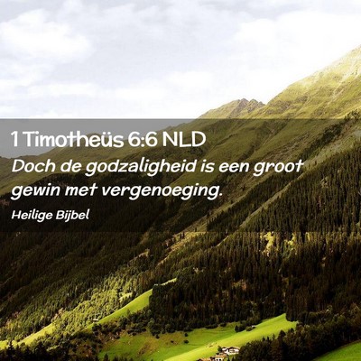 Picture 02 - 1 Timotheüs 6:6 NLD - Doch de godzaligheid is een groot gewin met - Bible Verse Picture