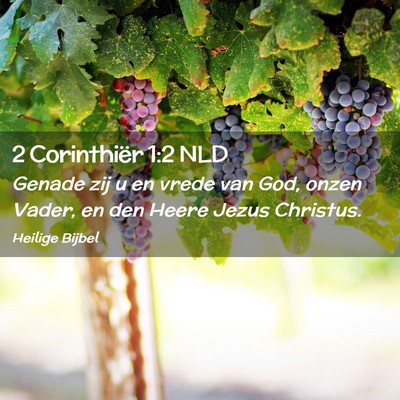 Picture 02 - 2 Corinthiër 1:2 NLD - Genade zij u en vrede van God, onzen Vader, en - Bible Verse Picture