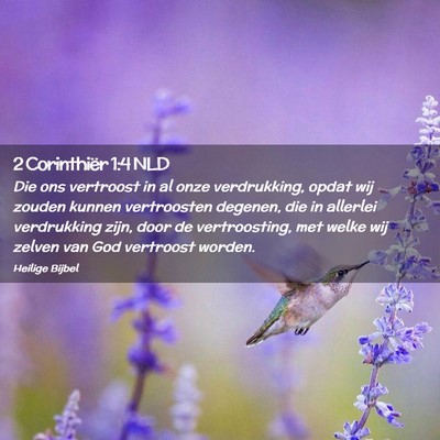 Picture 02 - 2 Corinthiër 1:4 NLD - Die ons vertroost in al onze verdrukking, opdat - Bible Verse Picture