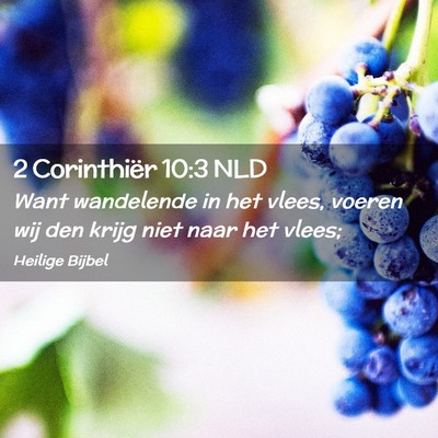 Picture 02 - 2 Corinthiër 10:3 NLD - Want wandelende in het vlees, voeren wij den - Bible Verse Picture