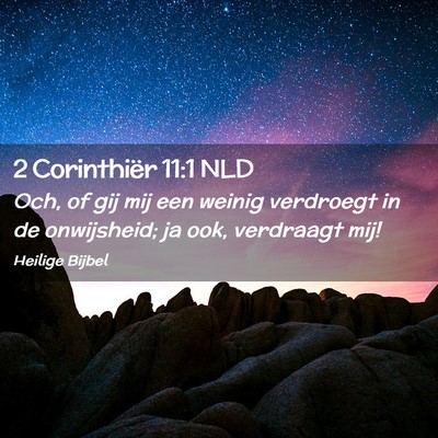 Picture 02 - 2 Corinthiër 11:1 NLD - Och, of gij mij een weinig verdroegt in de - Bible Verse Picture