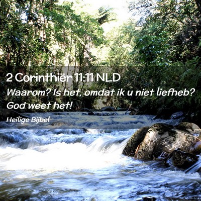 Picture 02 - 2 Corinthiër 11:11 NLD - Waarom? Is het, omdat ik u niet liefheb? God weet - Bible Verse Picture