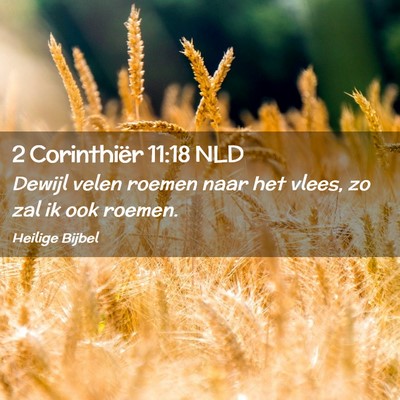 Picture 02 - 2 Corinthiër 11:18 NLD - Dewijl velen roemen naar het vlees, zo zal ik ook - Bible Verse Picture