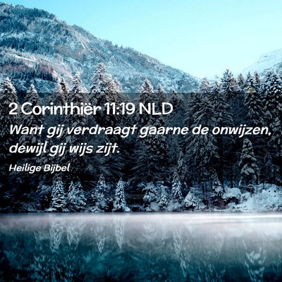 Picture 02 - 2 Corinthiër 11:19 NLD - Want gij verdraagt gaarne de onwijzen, dewijl gij - Bible Verse Picture