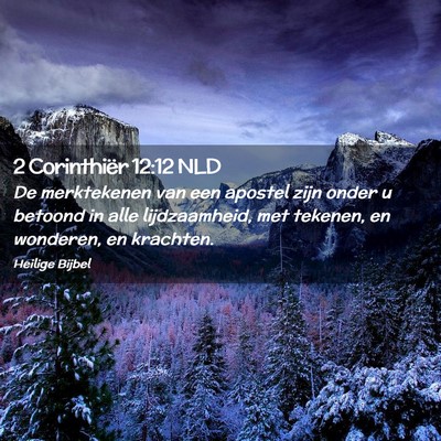 Picture 02 - 2 Corinthiër 12:12 NLD - De merktekenen van een apostel zijn onder u - Bible Verse Picture