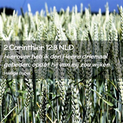 Picture 02 - 2 Corinthiër 12:8 NLD - Hierover heb ik den Heere driemaal gebeden, opdat - Bible Verse Picture