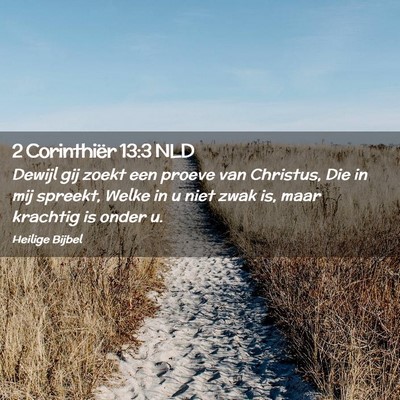 Picture 02 - 2 Corinthiër 13:3 NLD - Dewijl gij zoekt een proeve van Christus, Die in - Bible Verse Picture