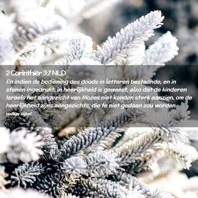 Picture 02 - 2 Corinthiër 3:7 NLD - En indien de bediening des doods in letteren - Bible Verse Picture