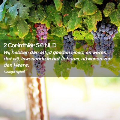 Picture 02 - 2 Corinthiër 5:6 NLD - Wij hebben dan altijd goeden moed, en weten, dat - Bible Verse Picture