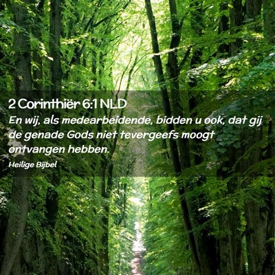 Picture 02 - 2 Corinthiër 6:1 NLD - En wij, als medearbeidende, bidden u ook, dat gij - Bible Verse Picture