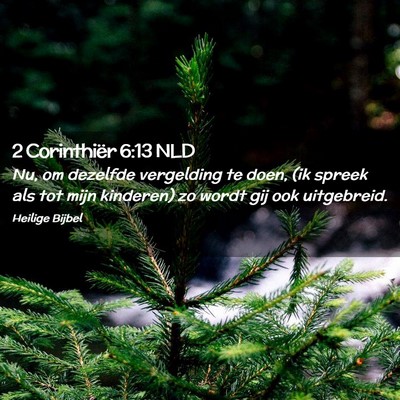 Picture 02 - 2 Corinthiër 6:13 NLD - Nu, om dezelfde vergelding te doen, (ik spreek - Bible Verse Picture