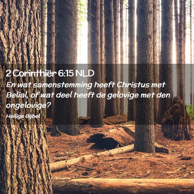 Picture 02 - 2 Corinthiër 6:15 NLD - En wat samenstemming heeft Christus met Belial, - Bible Verse Picture