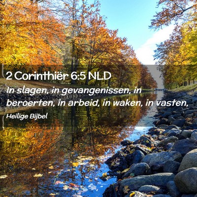 Picture 02 - 2 Corinthiër 6:5 NLD - In slagen, in gevangenissen, in beroerten, in - Bible Verse Picture