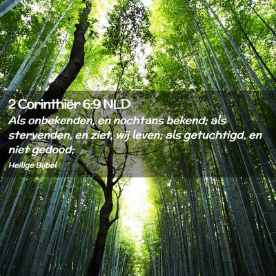 Picture 02 - 2 Corinthiër 6:9 NLD - Als onbekenden, en nochtans bekend; als - Bible Verse Picture