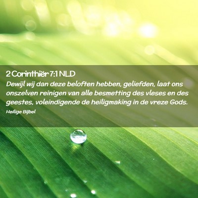 Picture 02 - 2 Corinthiër 7:1 NLD - Dewijl wij dan deze beloften hebben, geliefden, - Bible Verse Picture