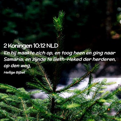 Picture 02 - 2 Koningen 10:12 NLD - En hij maakte zich op, en toog heen en ging naar - Bible Verse Picture