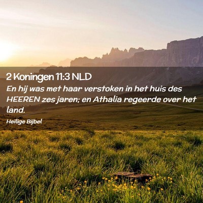 Picture 02 - 2 Koningen 11:3 NLD - En hij was met haar verstoken in het huis des - Bible Verse Picture